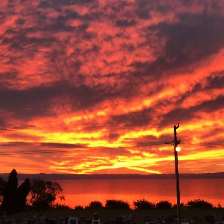Windsor Lodge & Caravan Park Waitahanui Екстер'єр фото